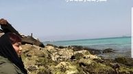 سهیلا منصوریان لب دریا+عکس
