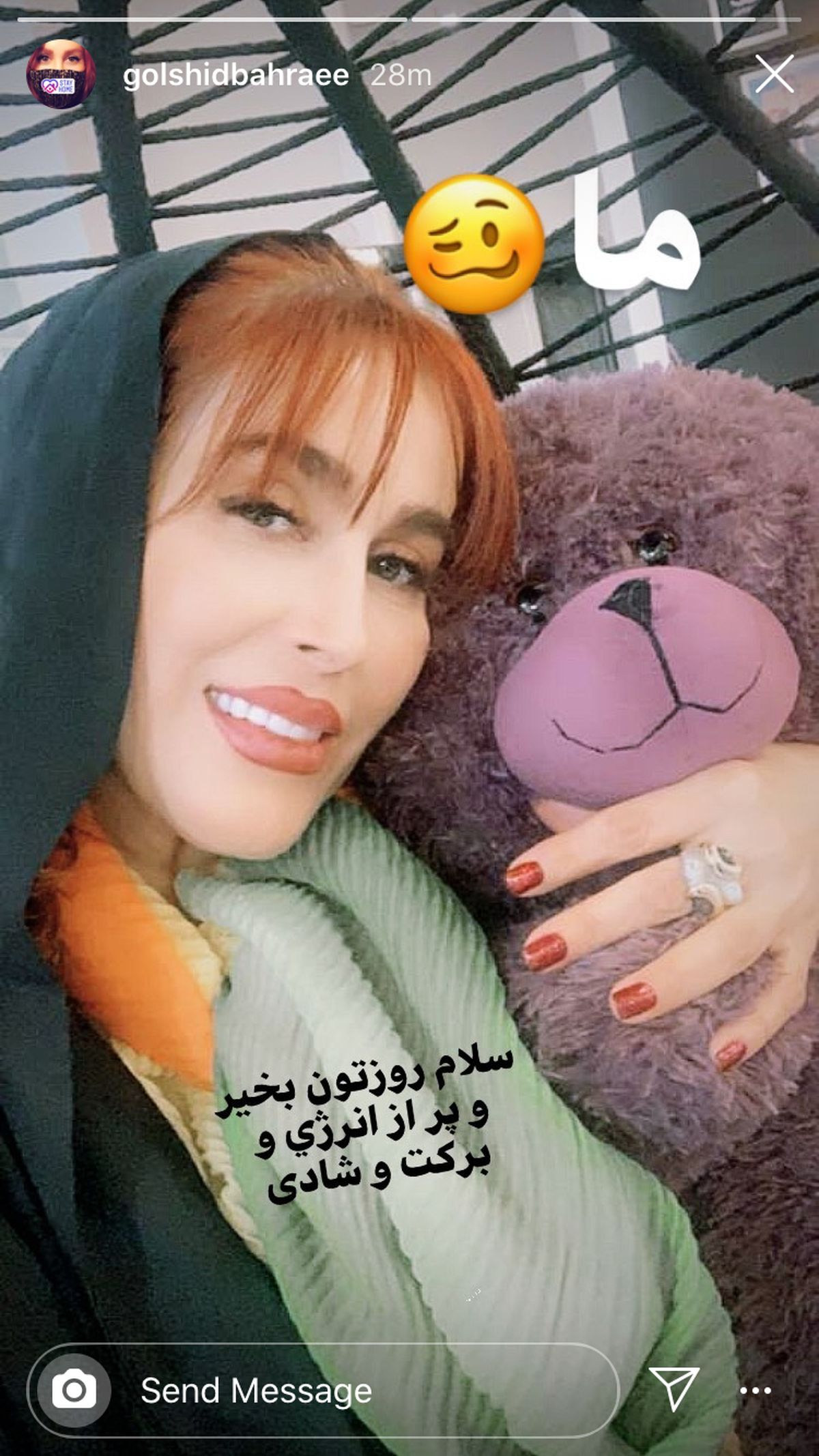 خرس عروسکی خانم بازیگر + عکس