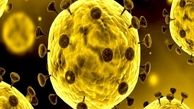هنر کرونا؛ کاهش جرایم واقعی، افزایش جرایم مجازی
