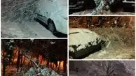 سقوط درخت‌ روی خودروها بر اثر شدت بارش برف در تهران (عکس)