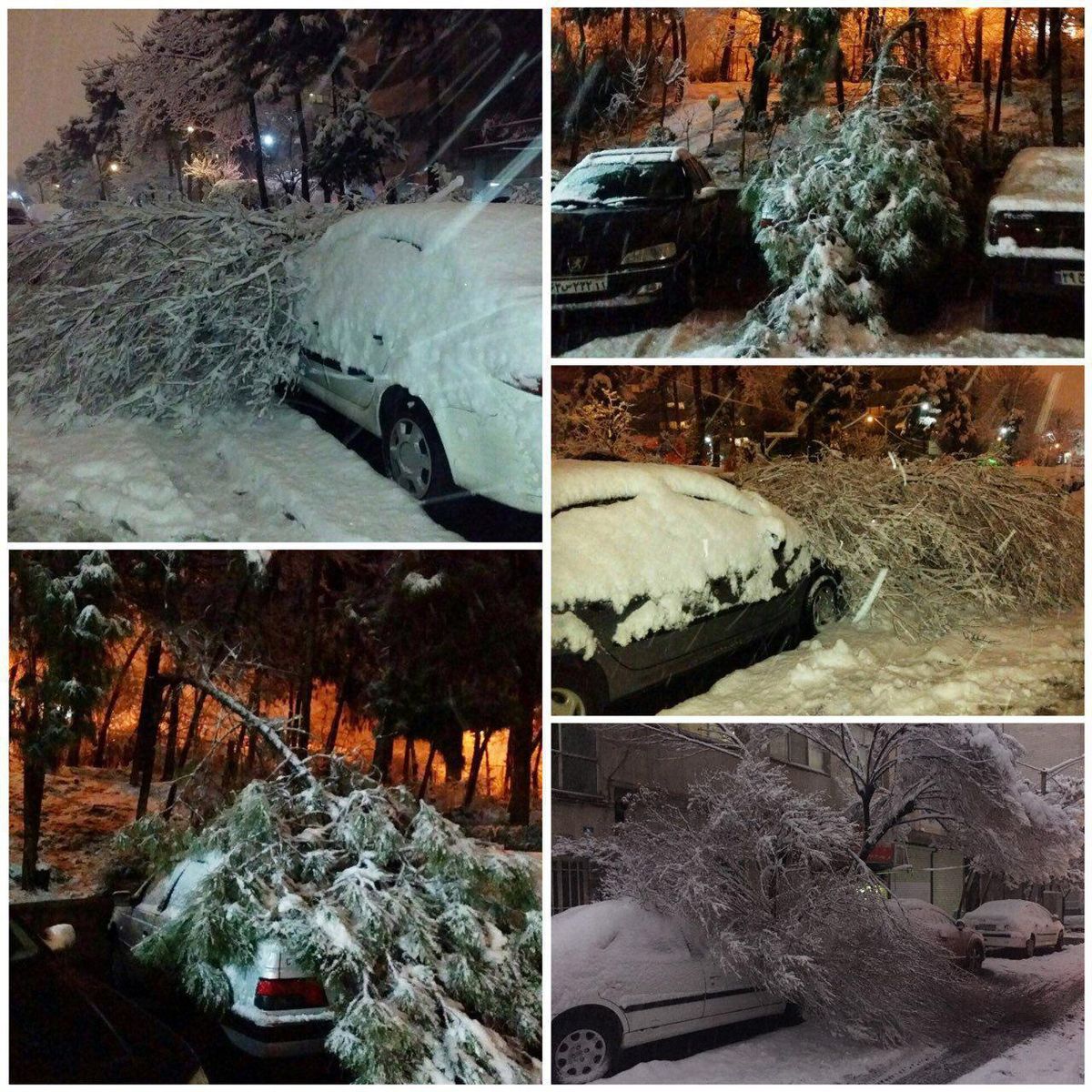 سقوط درخت‌ روی خودروها بر اثر شدت بارش برف در تهران (عکس)