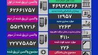 فوت ۲۲۶ نفر و شناسایی ۱۲ هزار و ۹۵۷ بیمار جدید کرونایی