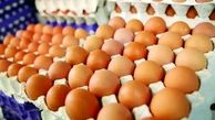 کاهش قیمت تخم مرغ در یک هفته اخیر