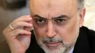 علت حضور صالحي در مذاكرات از زبان خودش/ نمي توان از مزایای فنّاوری هسته ای چشم پوشید