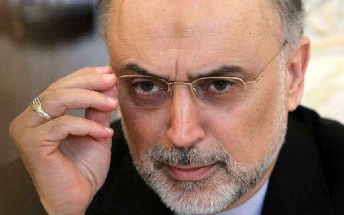 علت حضور صالحي در مذاكرات از زبان خودش/ نمي توان از مزایای فنّاوری هسته ای چشم پوشید