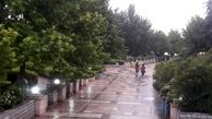 باد و باران در ۹ استان