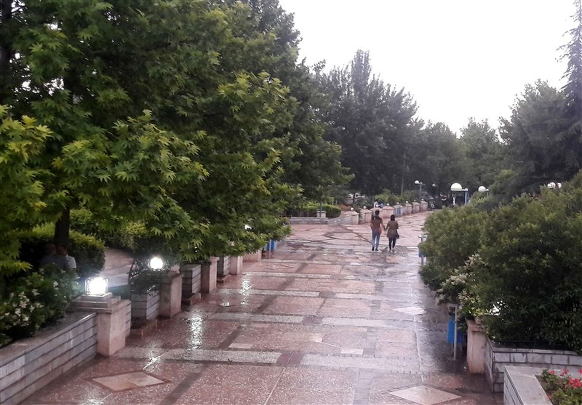 باد و باران در ۹ استان