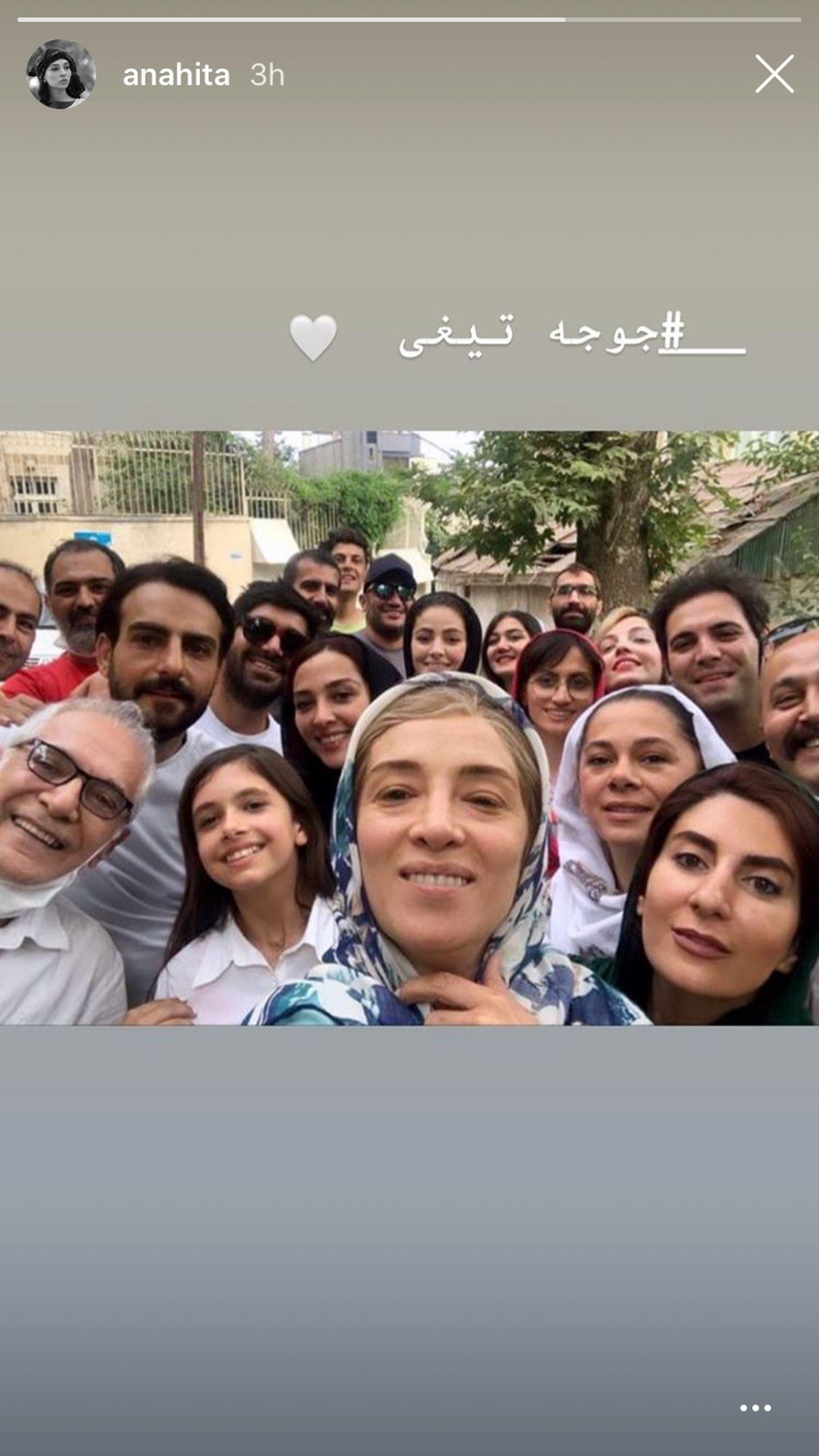 جوجه‌ تیغی ها در یک‌ قاب + عکس
