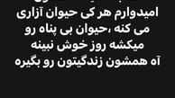 استوری جدید اینستاگرام مونا فرجاد در حمایت از حیوانات!