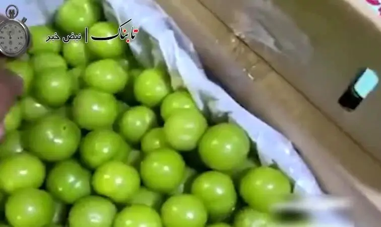 گوجه سبز نوبر دانه ای 200 هزار تومان !