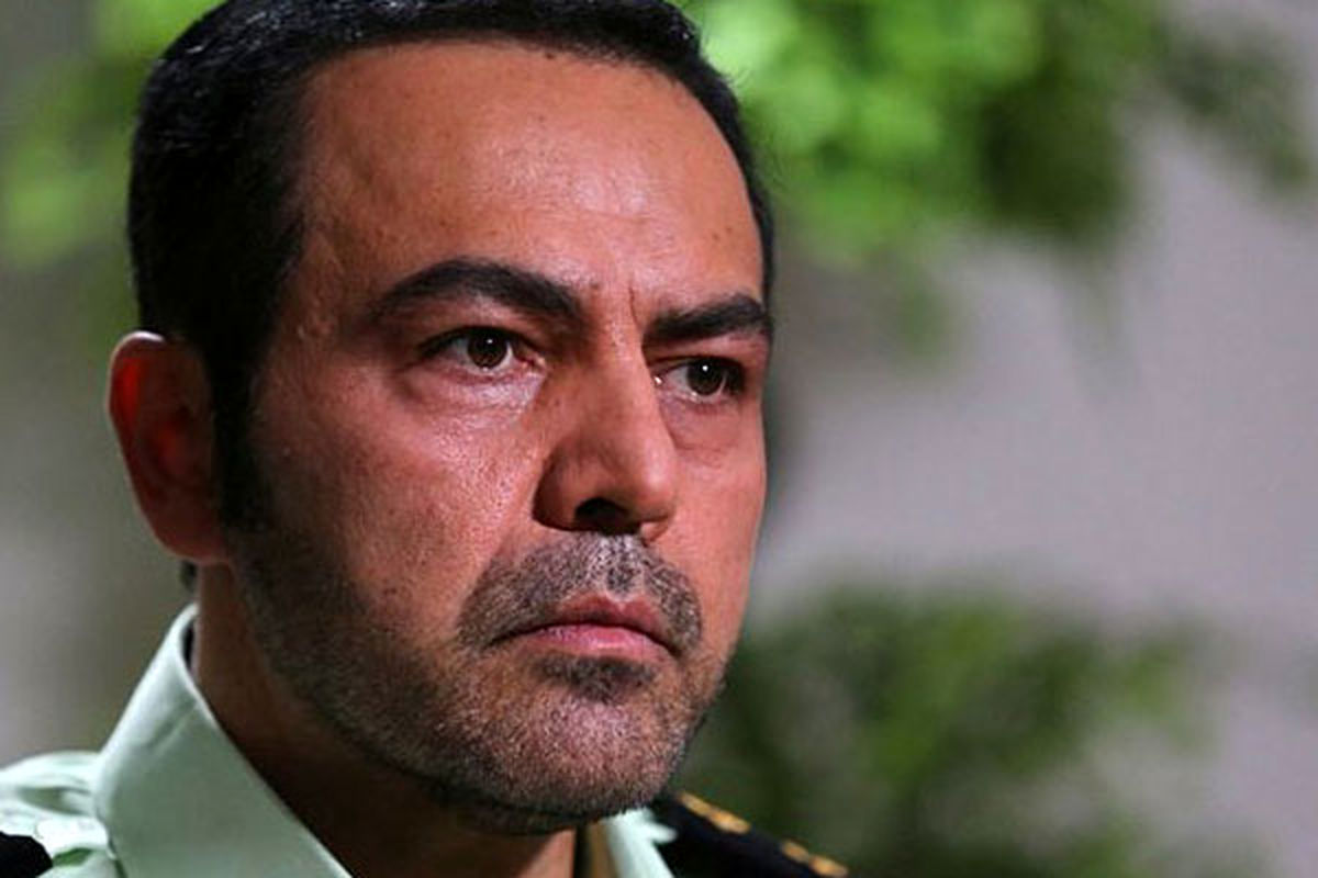 فریبرز عرب‌نیا: در کانادا راننده بیماران هستم!