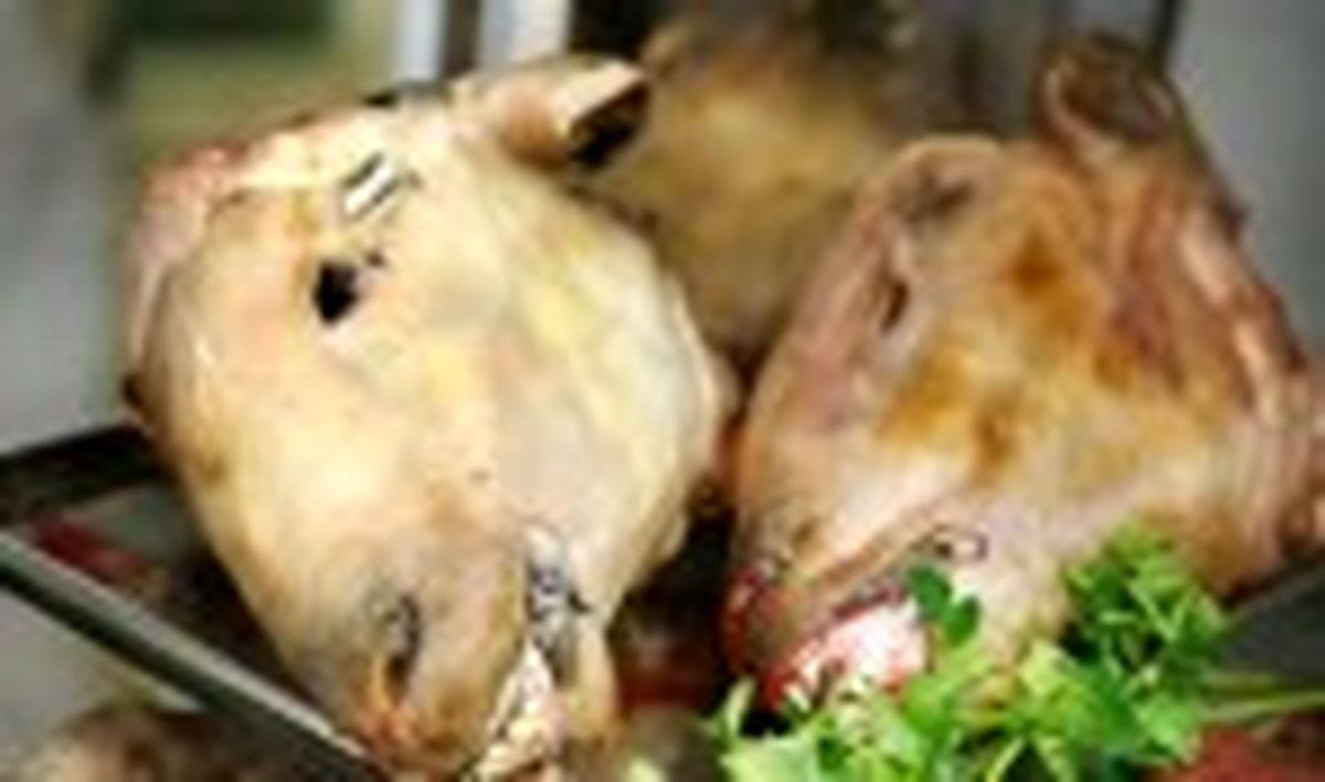 نرخ آلایش گوشت بسته‌بندی در میادین+ جدول قیمت