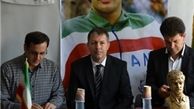 برد خانگی ملوان راضی‌کننده بود