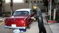تصاویری از نخستین پمپ بنزین ایران