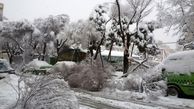 خسارات شدید ناشی از کاهش دمای اخیر به باغات و کشاورزان