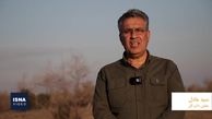 بازگشت گوزن‌های زرد ایرانی به زیستگاه اصلی خود