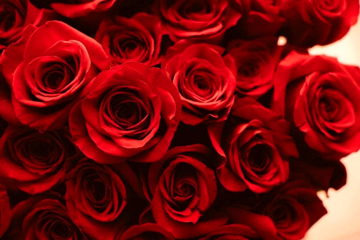 به اجرا گذاشتن مهریه به خاطر لجبازی با مادر شوهر 