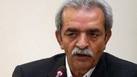 انتقاد شافعی از عدم استفاده از ظرفیت های ترانزیتی