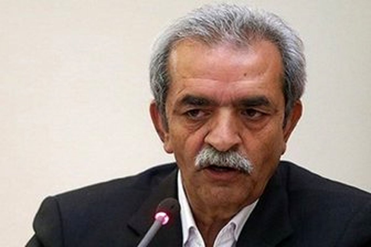 انتقاد شافعی از عدم استفاده از ظرفیت های ترانزیتی