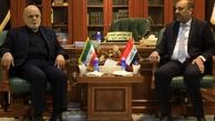 رایزنی ایرج مسجدی با استاندار نجف اشرف