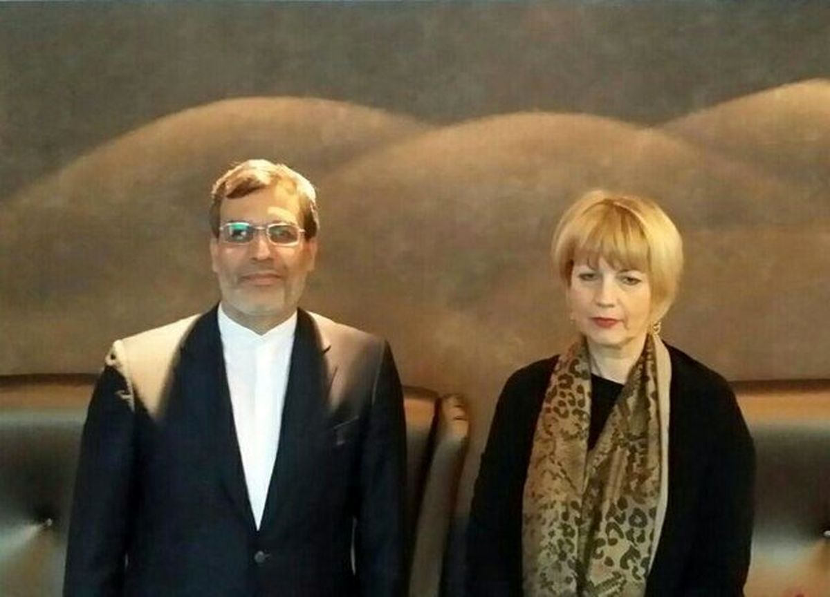 رایزنی جابری انصاری با اشمید درمورد سوریه و یمن 