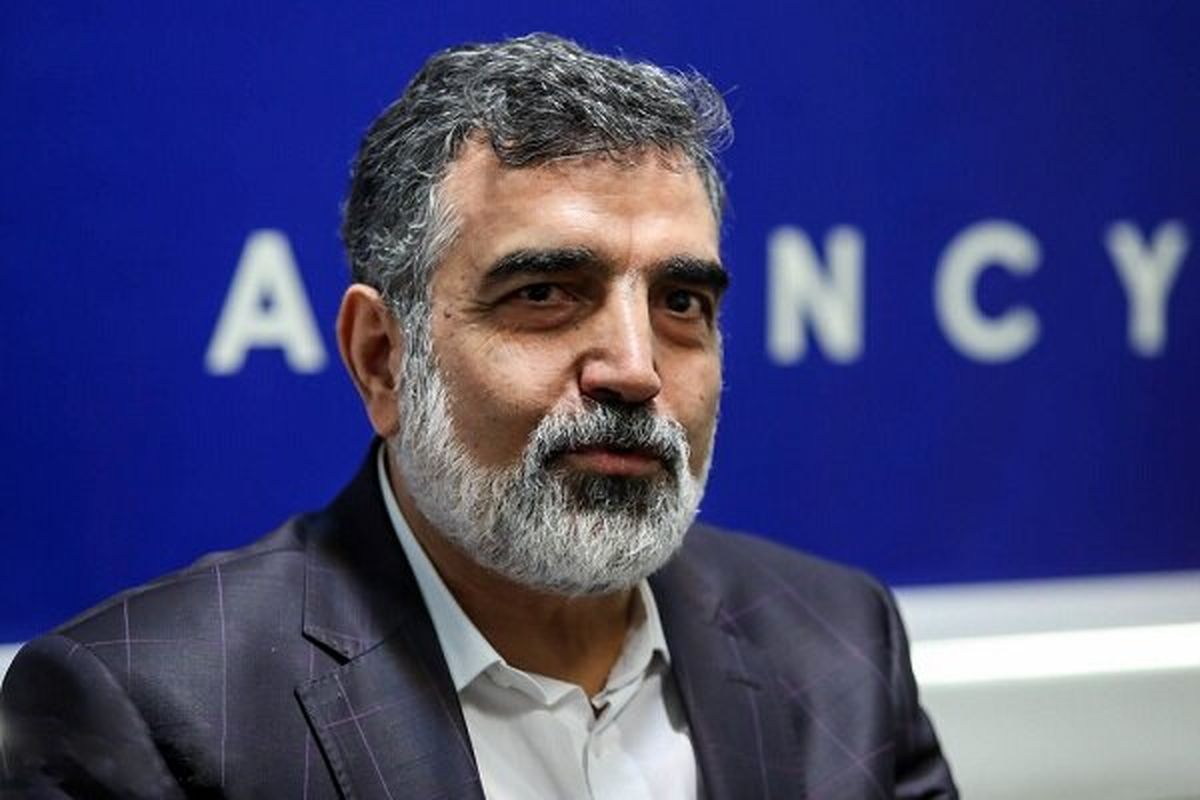 برنامه هسته‌ای صلح‌آمیز ایران تاکنون بیشترین شفافیت را داشته است