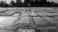 تصاویری تکان دهنده از آخرین دارایی انسان 
