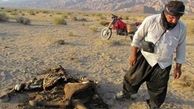تلفات گسترده دامهای نتیجه ساخت جاده درکوه بافق
