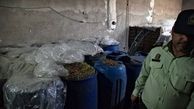 مشروب در گاوداری