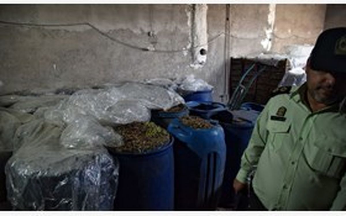 مشروب در گاوداری