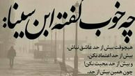 سخن گوهربار ابن سینا در صفحه مریم امیرجلالی