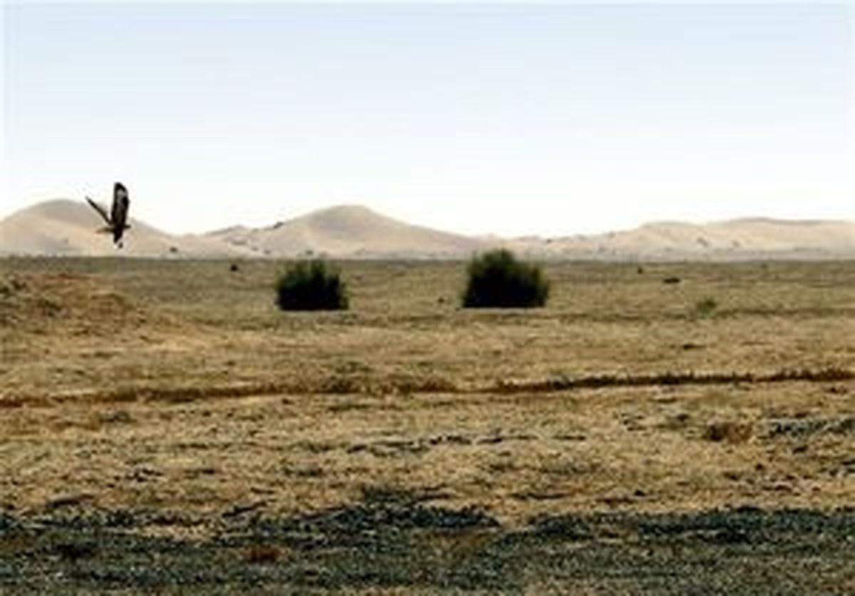 تالابی بین‌المللی که آبستن ریزگردهای سمی شد