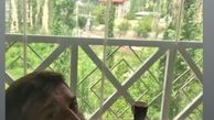 هاله نور علی انصاریان+عکس