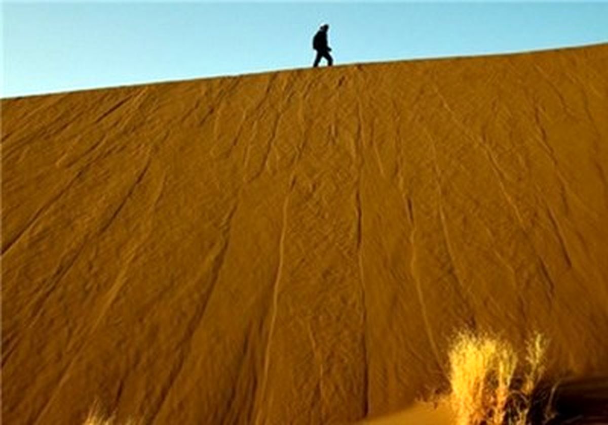 دستگیری دو متخلف در حال قطع درختچه‌های تاغ کویری در منطقه حفاظت‌ شده کویر
