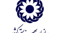 سهمیه یارانه مراکز توانبخشی کاهش یافت