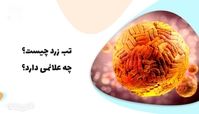 تب زرد چیست و چه نشانه هایی دارد ؟