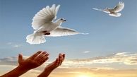 آزادی؛ هدیه عاشقان حسین(ع) به زندانی بدهکار البرزی 