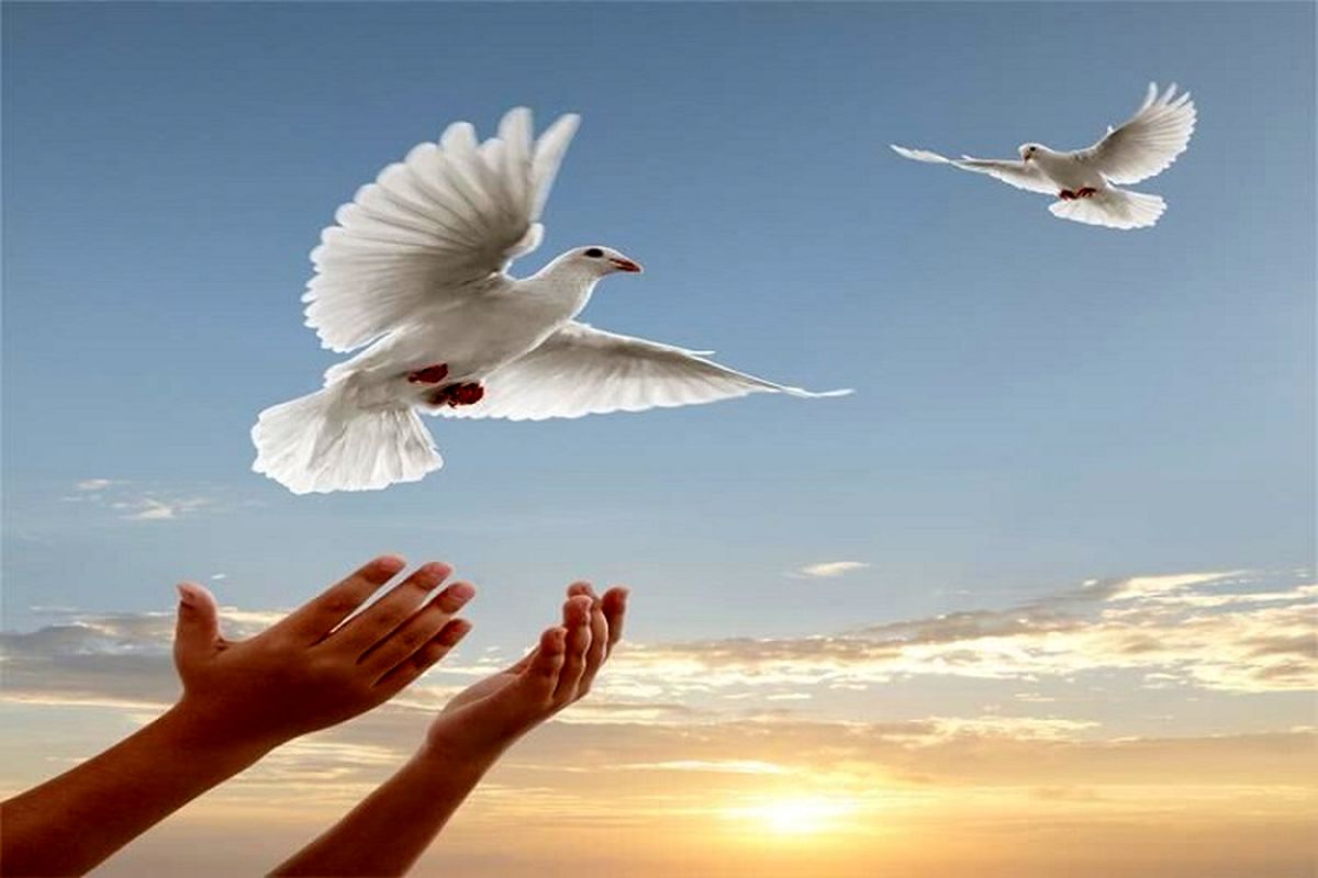 آزادی؛ هدیه عاشقان حسین(ع) به زندانی بدهکار البرزی 