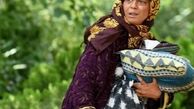 شبنم فرشادجو کاملا متفاوت + عکس