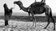 دلتنگی الناز شاکردوست برای دوست شترش
