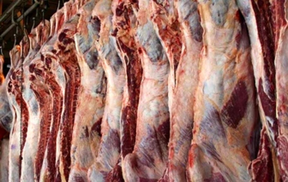 ثبات قیمت در بازار گوشت قرمز