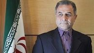 تدوین سند بالادستی دستگاه های مرتبط با امور ایرانیان خارج از کشور