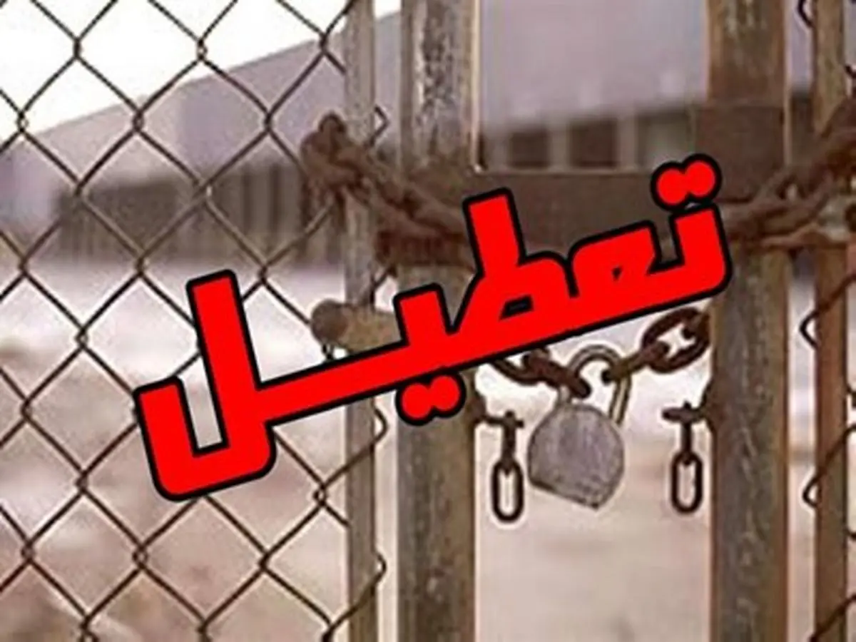 بزرگترین کارخانه «سویا» تعطیل شد 