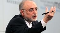 «انرژی اتمی» برای اجرای دستور رهبری اهتمام ندارد