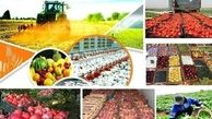 نارضایتی مردم از گرانی محصولات کشاورزی