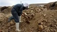دست به دعا شدن مسئولان برای نیامدن زلزله در تهران