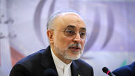 نظام اراده کند غنی سازی ۲۰ درصد را از سر می گیریم