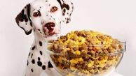 خرید انواع غذای خشک سگ و غذای خشک گربه در پت شاپ پی کی پت