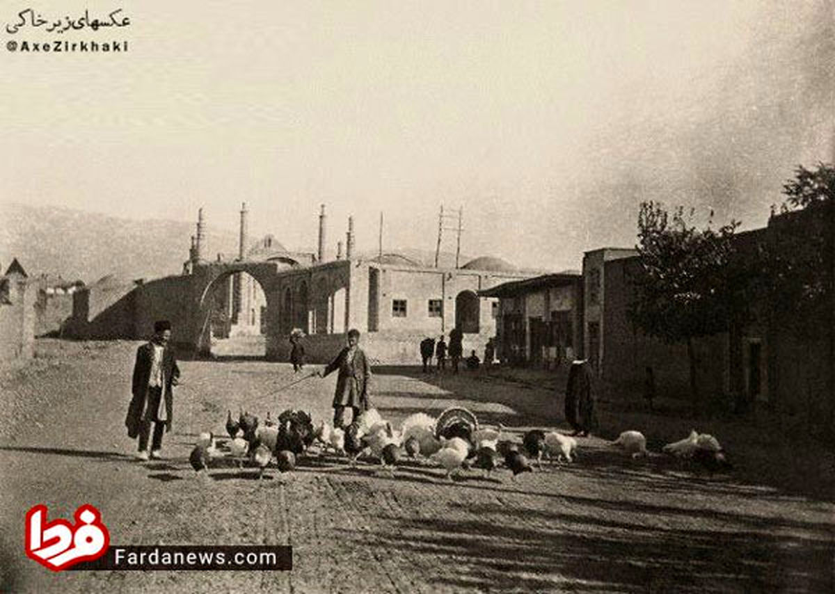 شغلی که دیگر در تهران نمی‌بینید؟