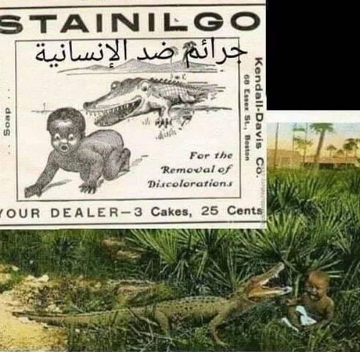 افشای یک حقیقت غیرقابل باور توسط مسعود ده نمکی+عکس